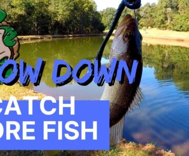 SLOW DOWN YOUR PRESENTATION and START CATCHING BASS