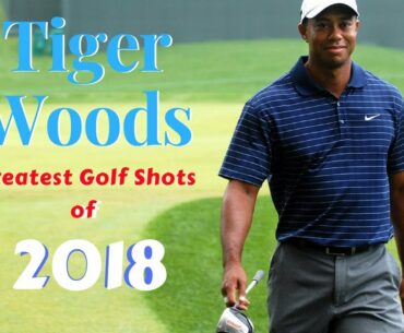 Tiger Woods Greatest Golf Shots of 2018