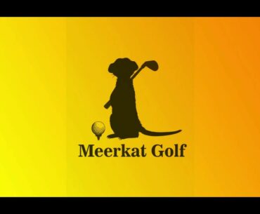 What's in the bag? Old Golf Equipment for Meerkat Golfer