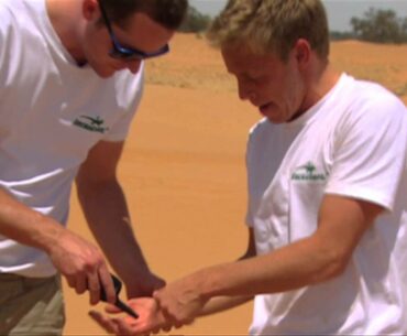 Catching golf balls in the desert to measure the effect of heat on the flight.