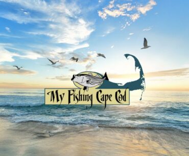 Cape Cod Fishing Report | Week of July 20th
