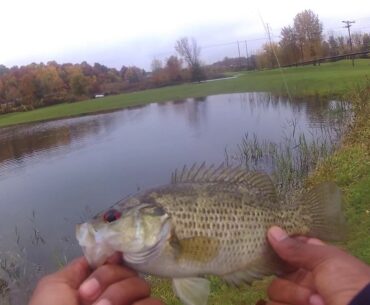 Fishing golf course ponds and Reservoirs- Fall bassin!!