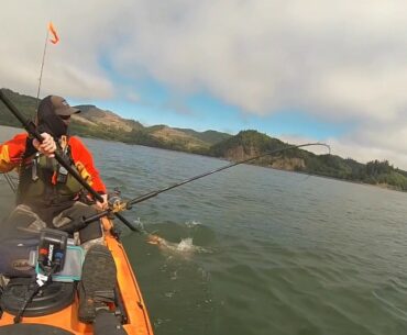 Chinook Kayak Fishing Summer 2016