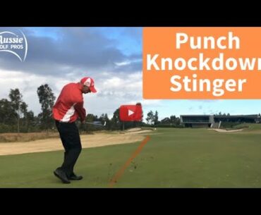 Punch Shot vs Knockdown Shot vs Tiger Woods Stinger