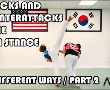 Attacks and Counter Attacks from the Open Stance Part 2