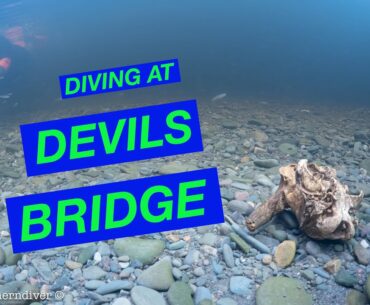 Snorkelling under Devil's Bridge and found a Skull | Diving the River Lune Kirkby Lonsdale