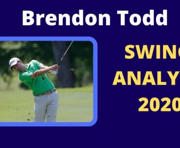 Brendon Todd Swing Analysis