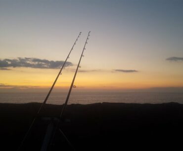 Sea Fishing - Thornback Ray Fishing in Cumbria