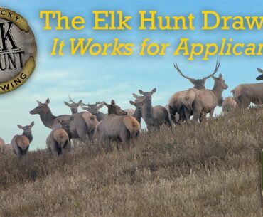 KY Elk Hunt Drawing - It Works for You