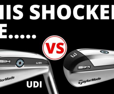 That Surprised Me!! TaylorMade SIM UDI & SIM DHY Utility Iron