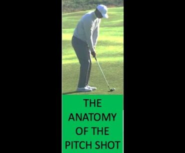 The Anatomy of the Soft, High Pitch Shot