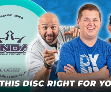 Is This Disc Right For You? Dynamic Discs Vandal