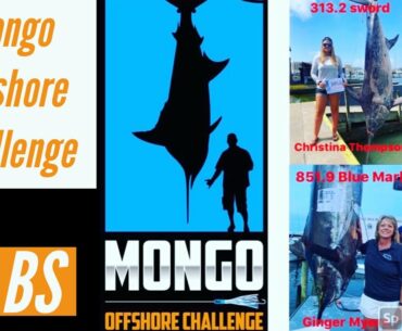 Fly Navarro is joined by the Mongo Offshore Challenge