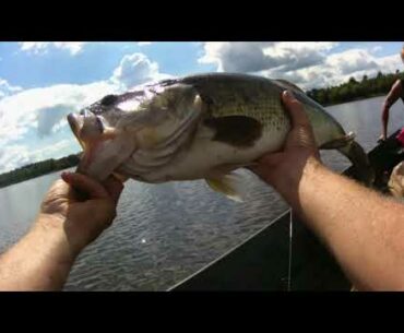 FISHING FOR BIG SUMMERTIME BASS! Best day bass fishing