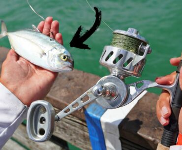 SNOOK Fishing from PIER With BIG LIVE BAIT