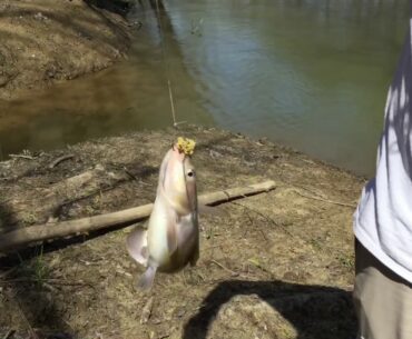 Catfishing North Fork Salt Creek - April 2017