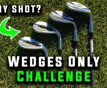 Playing Golf with ONLY Our Wedges! | Wedges Only Challenge | DCG