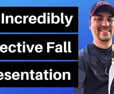 How to Fish the Fall Transition | Incredibly Effective Lure to Use During this Fall Transition