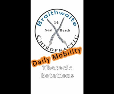 Daily Mobility:  Thoracic Rotations