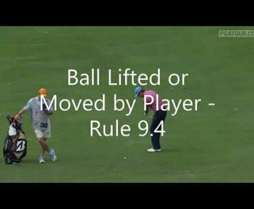 Hudson Swafford Hits Divot Into His Ball on Fairway - Golf Rules