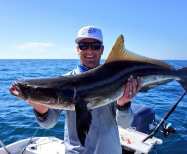 How to Catch Cobia | How I Caught My PB Cobia offshore fishing