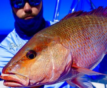 Catch HUGE Mangrove Snapper & Grouper (Epic Day Gulf of Mexico Fishing)