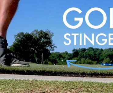 Golf Stingers Compilation | Walt Addison