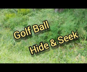 Golf Ball Hide & Seek