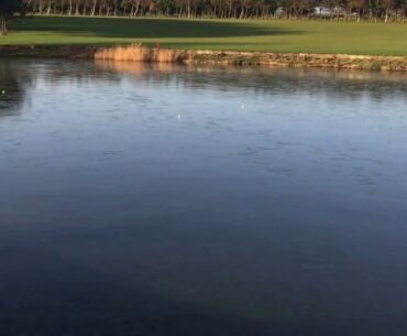 Golf Balls on a Frozen Lake