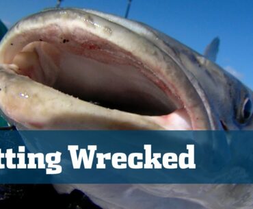 Wreck Fishing Snapper Grouper Best Baits Rigs - Florida Sport Fishing TV