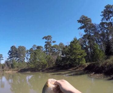 Bass fishing a Squarebill for cold water bass.