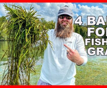 4 Baits to Conquer Grass Fishing (Fall Bass Fishing)