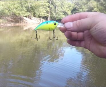 Bass Fishing SHALLOW Water w/ Crankbaits! (Summer Cranking)