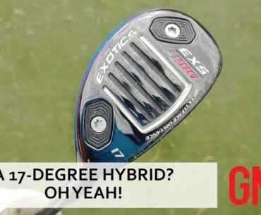 Why on Earth did I put a 1-hybrid in the bag?!