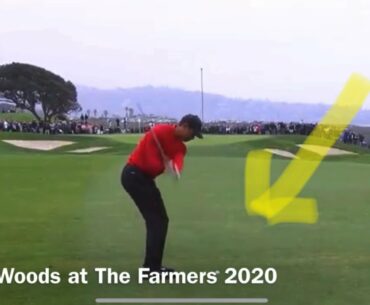 Ball bounces back out the hole!! Tiger Woods having bad luck at the farmers 2020!!