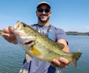 DROP SHOT When All Else Fails!!! (Late Summer Finesse Bass Fishing)