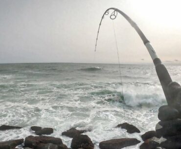 Fall Run Striped Bass - (Part 2) Early Morning Sunrise Bite - CRAZY WIND, TIDE,  - Long Island , NY