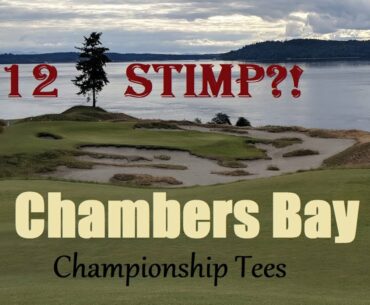 Chambers Bay - GSPro - How low can you go?