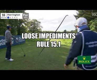 Padraig Harrington Moves Large Tree Branch - Golf Rules