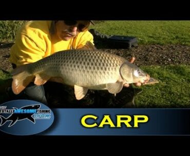 Carp fishing using a link leger- Series 1- Episode 11 - TAFishing