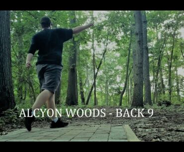 Alcyon Woods Disc Golf Course - Casual Round - Back 9: The struggle is real