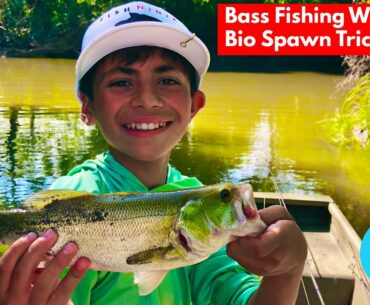 Bass Fishing With New Bio Spawn Trick Worm