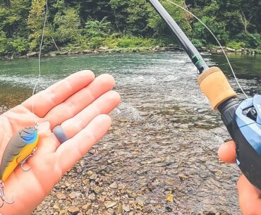 Bank Fishing and Kayaking Small River For Bass and Musky!