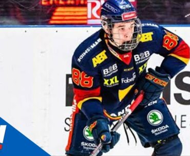 Top NHL Prospect Alexander Holtz Career Highlights, Djurgarden (SHL)