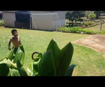 Paulie & Uncle Justin Pitching Golf Balls