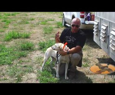 On Point Retrieving: Putting on The E-collar