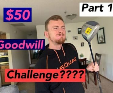 $50 Goodwill challenge part 1- Digging for Golfing Gold- We find the weirdest Golf Wedge