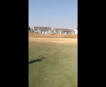 9 Hole Stroke Play - Sibling Rivalry