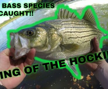 I catch EVERY Bass Species on the Hocking River  ( RIVER BEAST CAUGHT! )