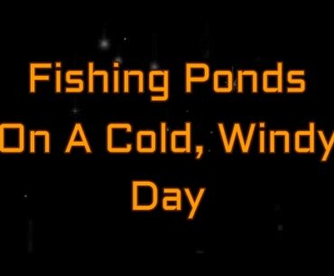 Freezing my bass off  Cold, windy pond fishing!